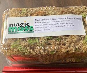 Indoor and Decorative Sphagnum Moss